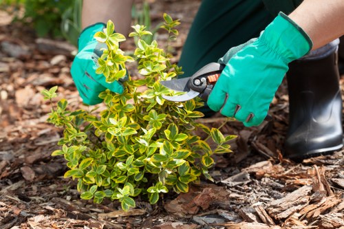 Gardeners wearing protective equipment while maintaining a residential garden